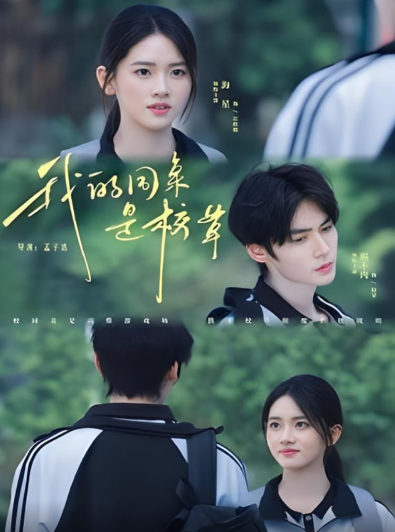 我的同桌是校草