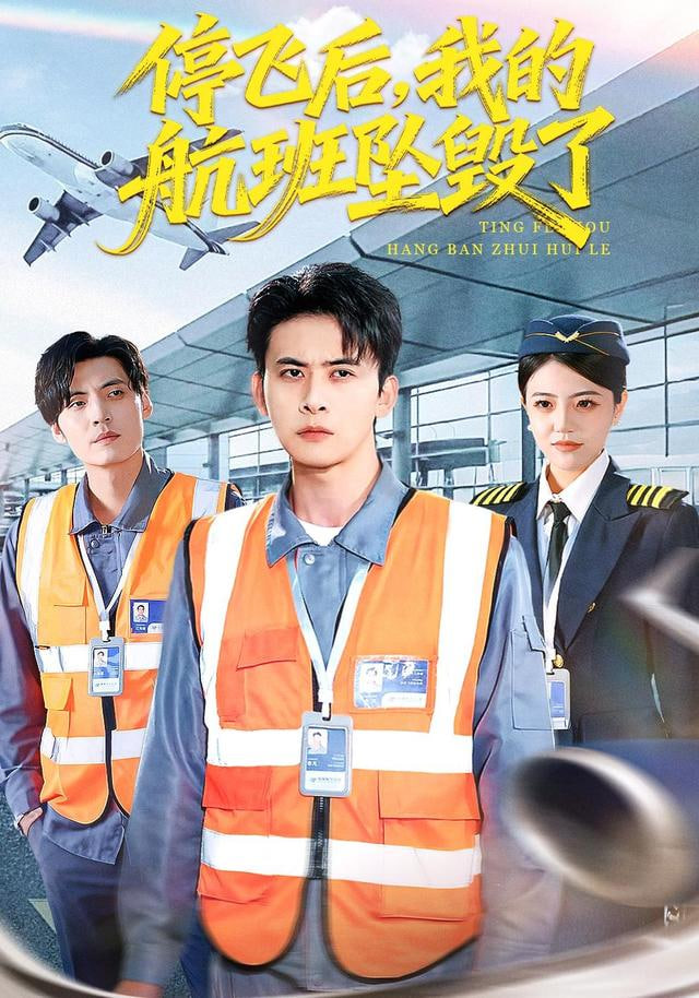 停飞后，我的航班坠毁了