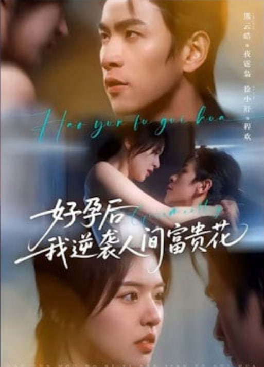 夜先生的小欢喜（好孕后我逆袭人间富贵花）
