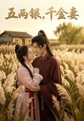 五两银，千金妻
